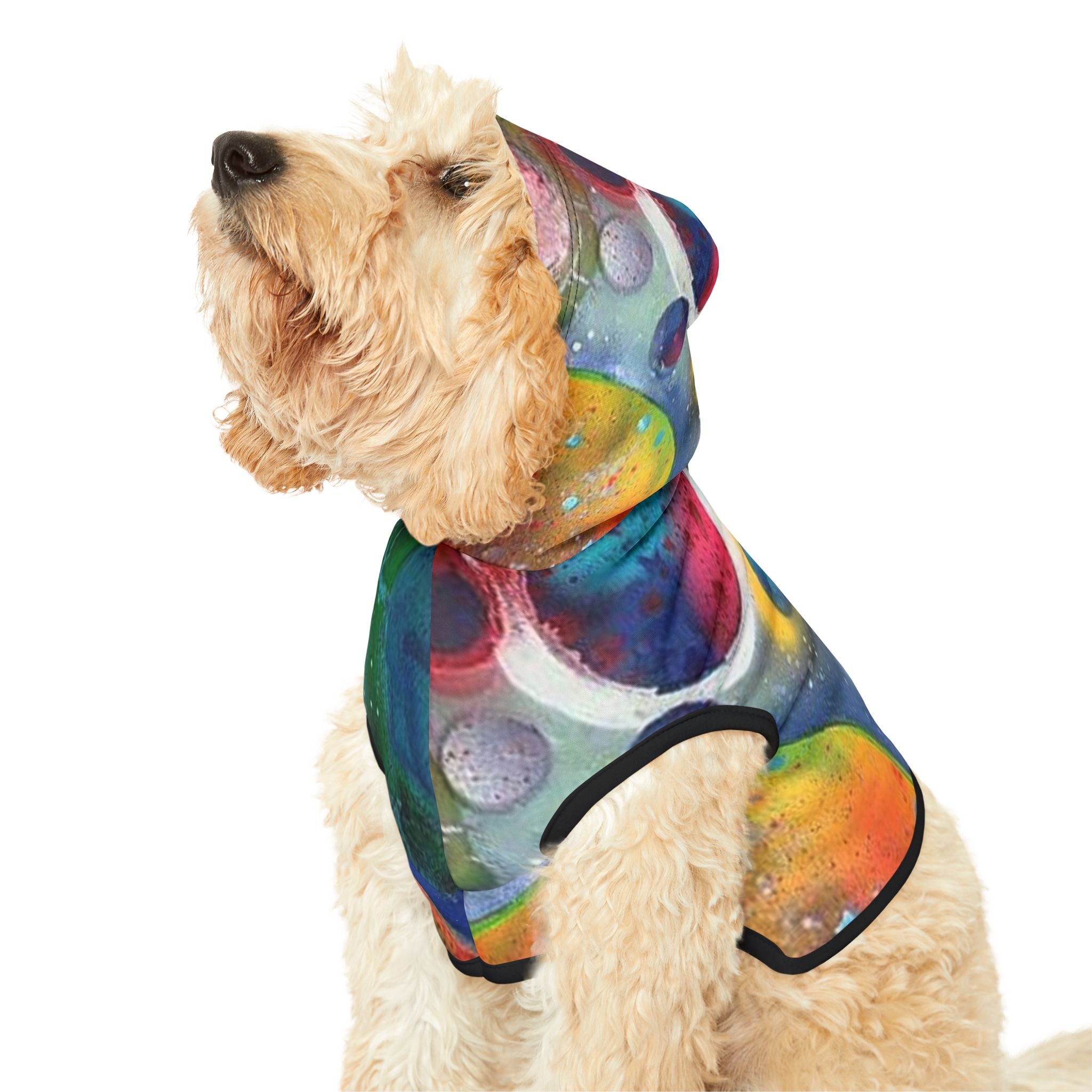 Galaxy Planets Pet Hoodie