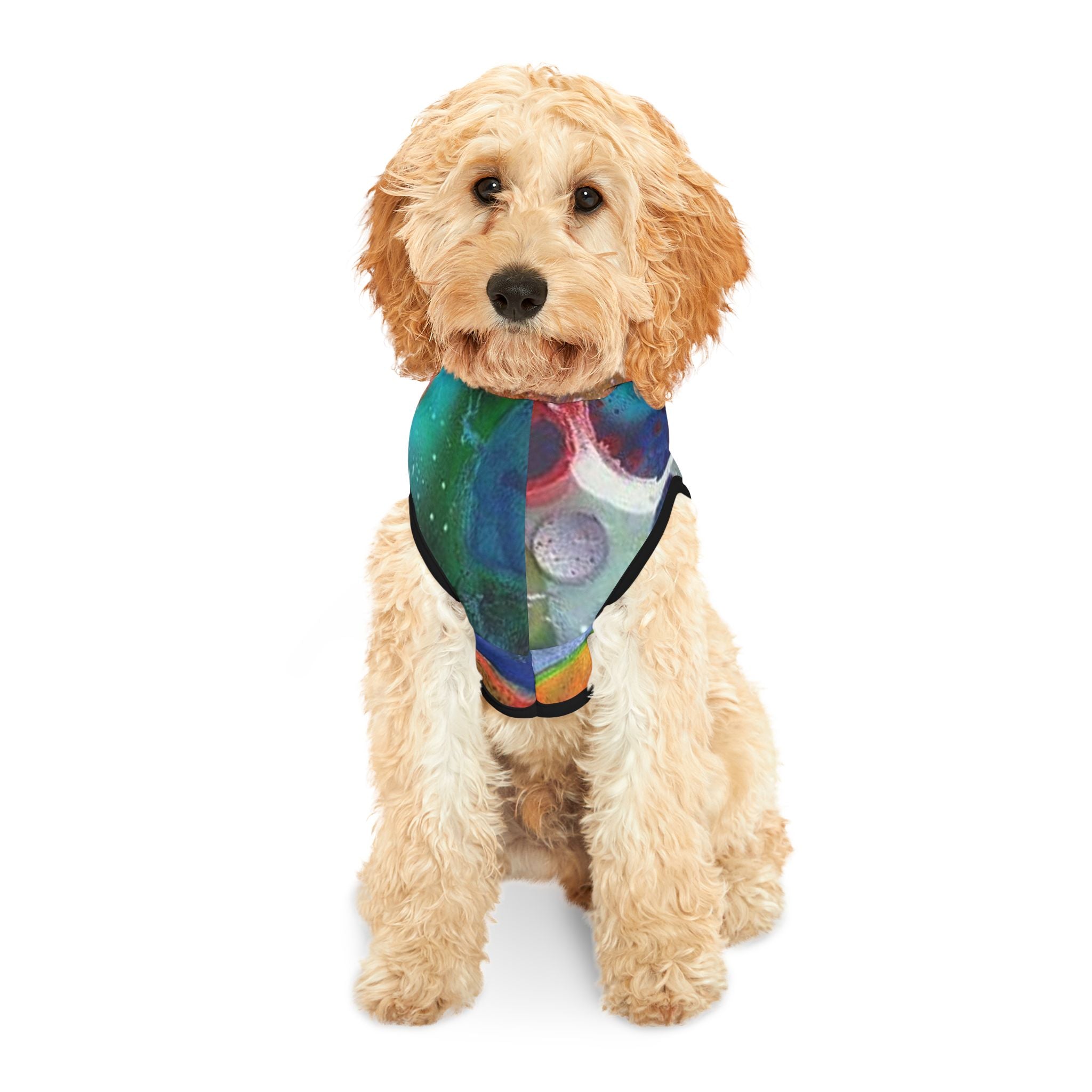 Galaxy Planets Pet Hoodie