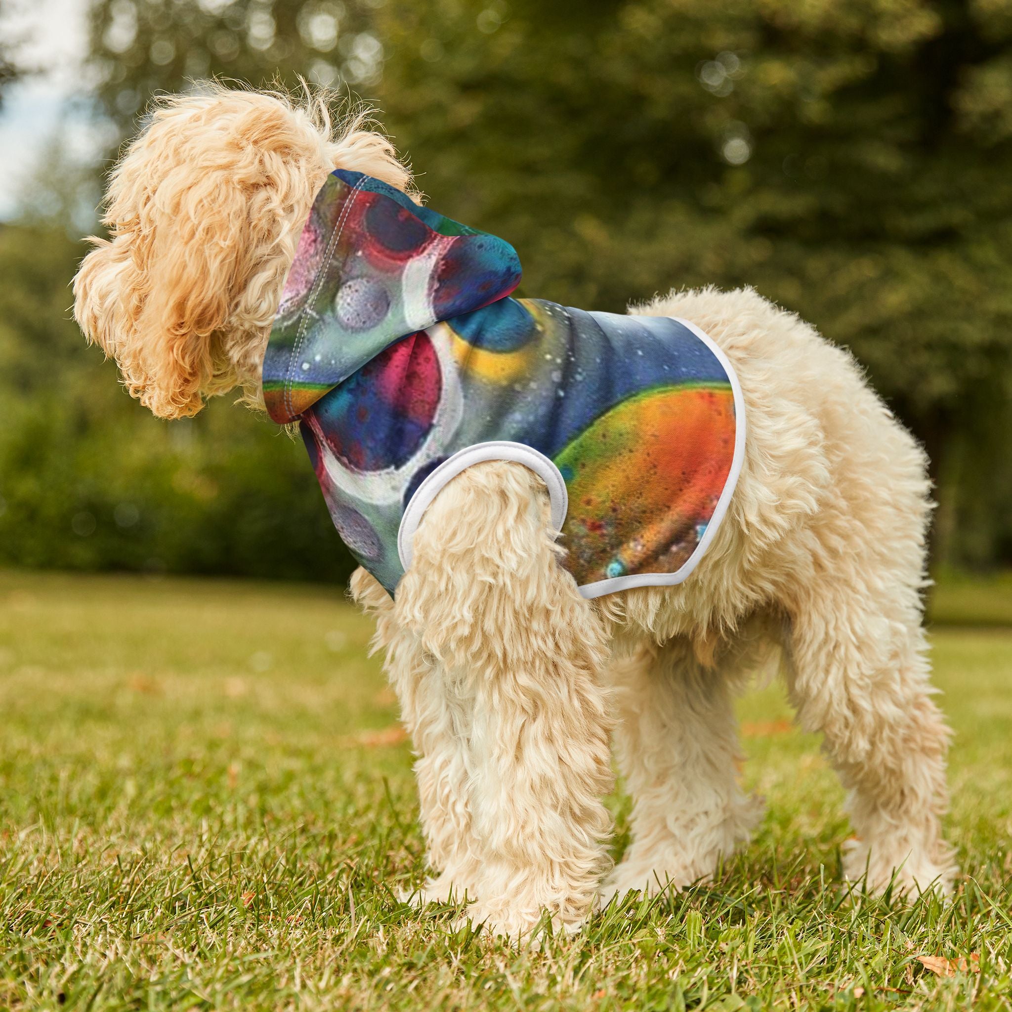 Galaxy Planets Pet Hoodie