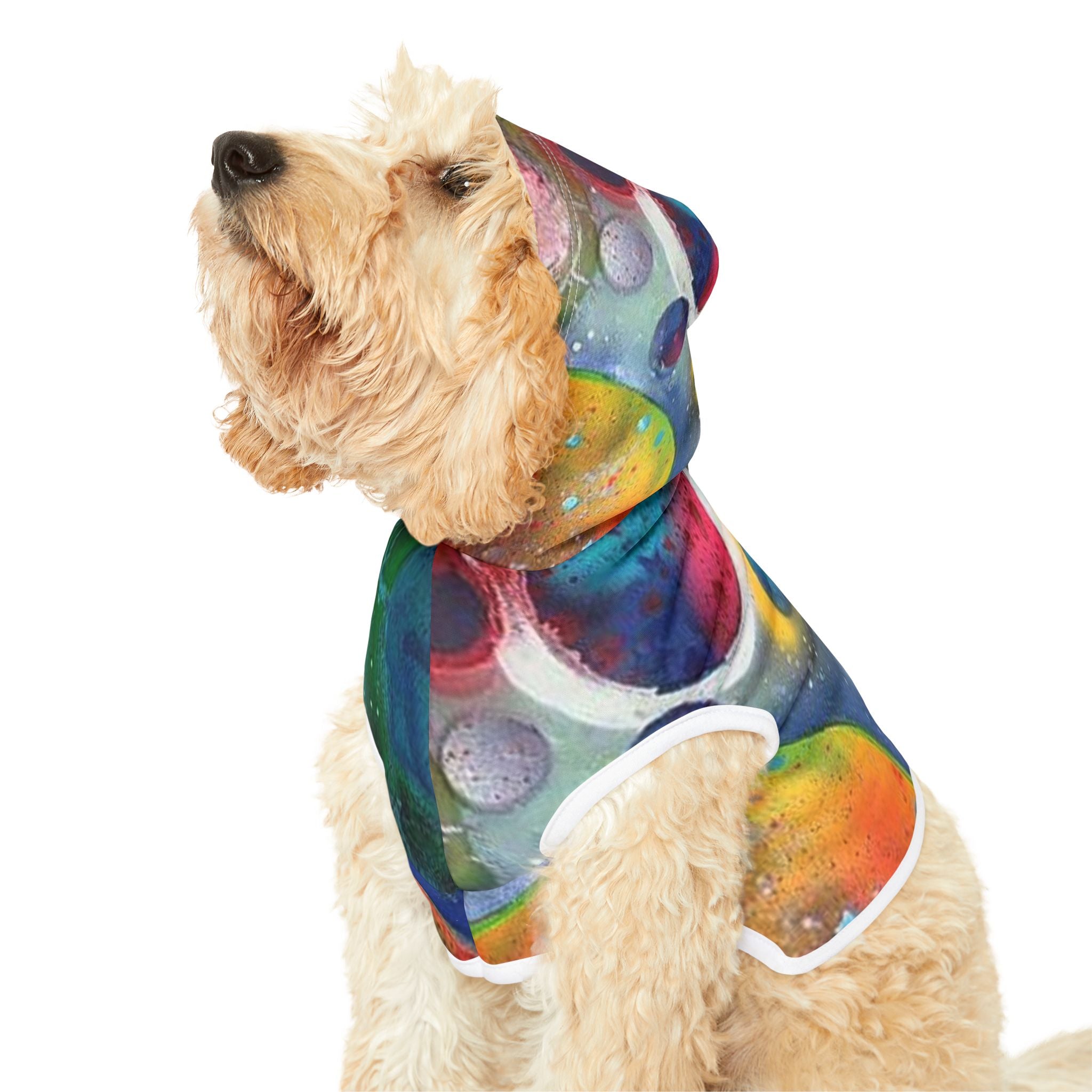 Galaxy Planets Pet Hoodie