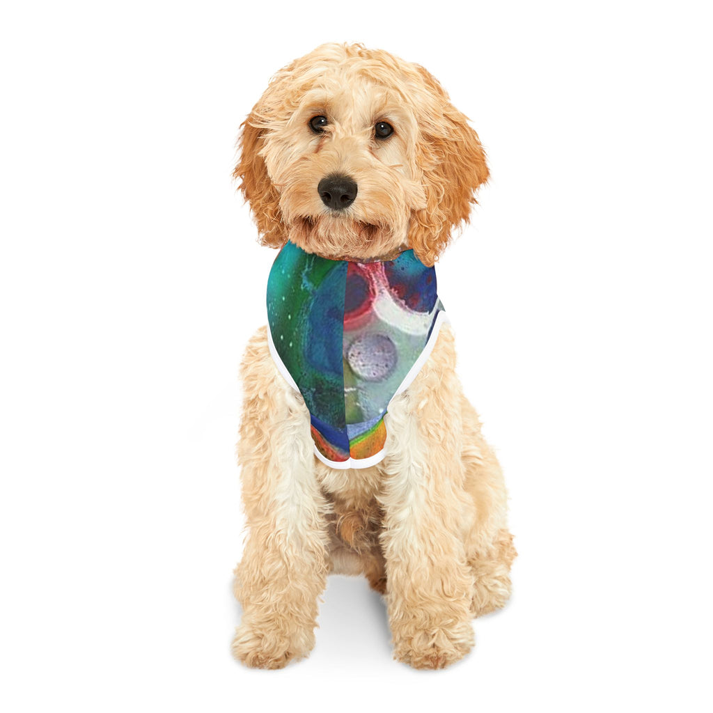 Galaxy Planets Pet Hoodie