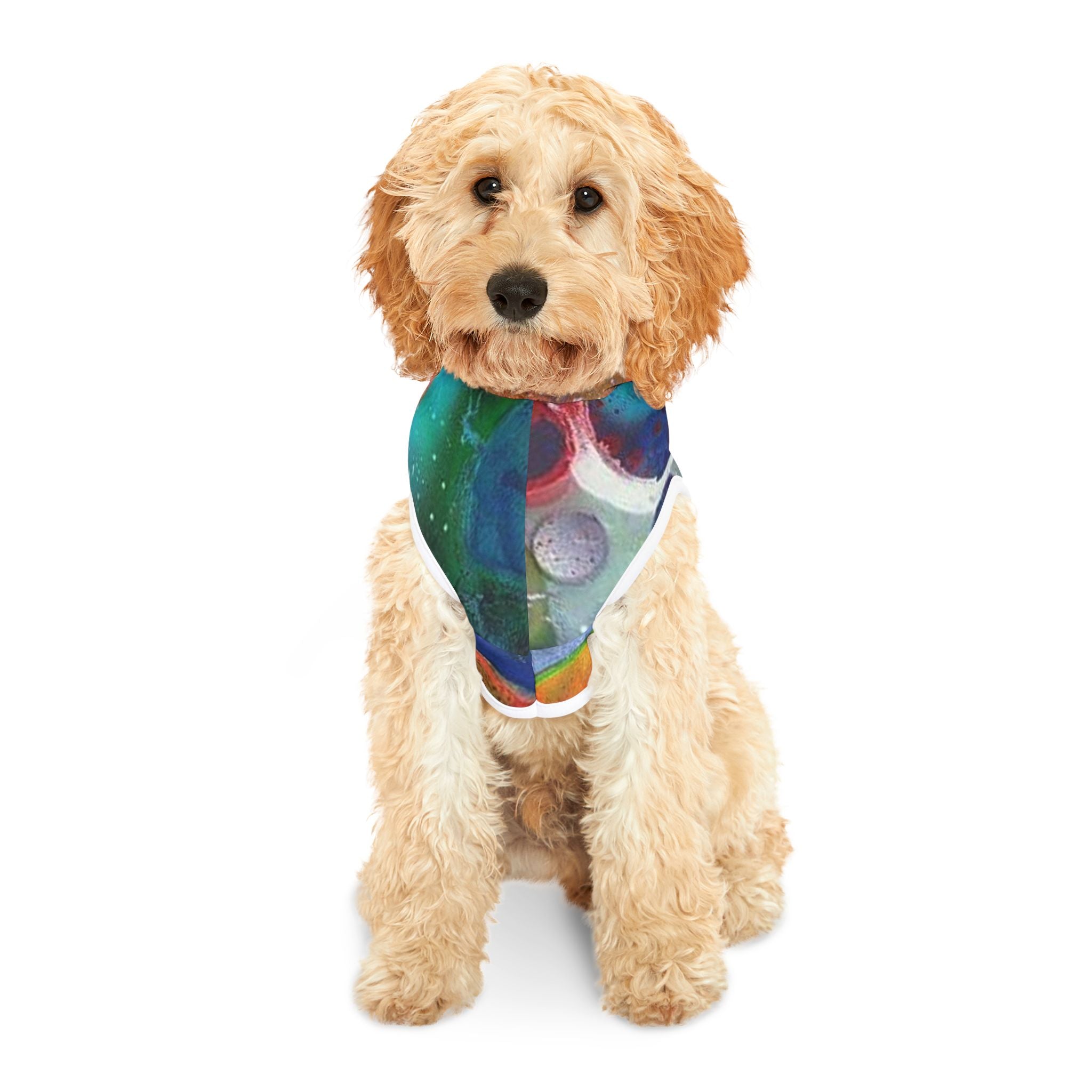 Galaxy Planets Pet Hoodie