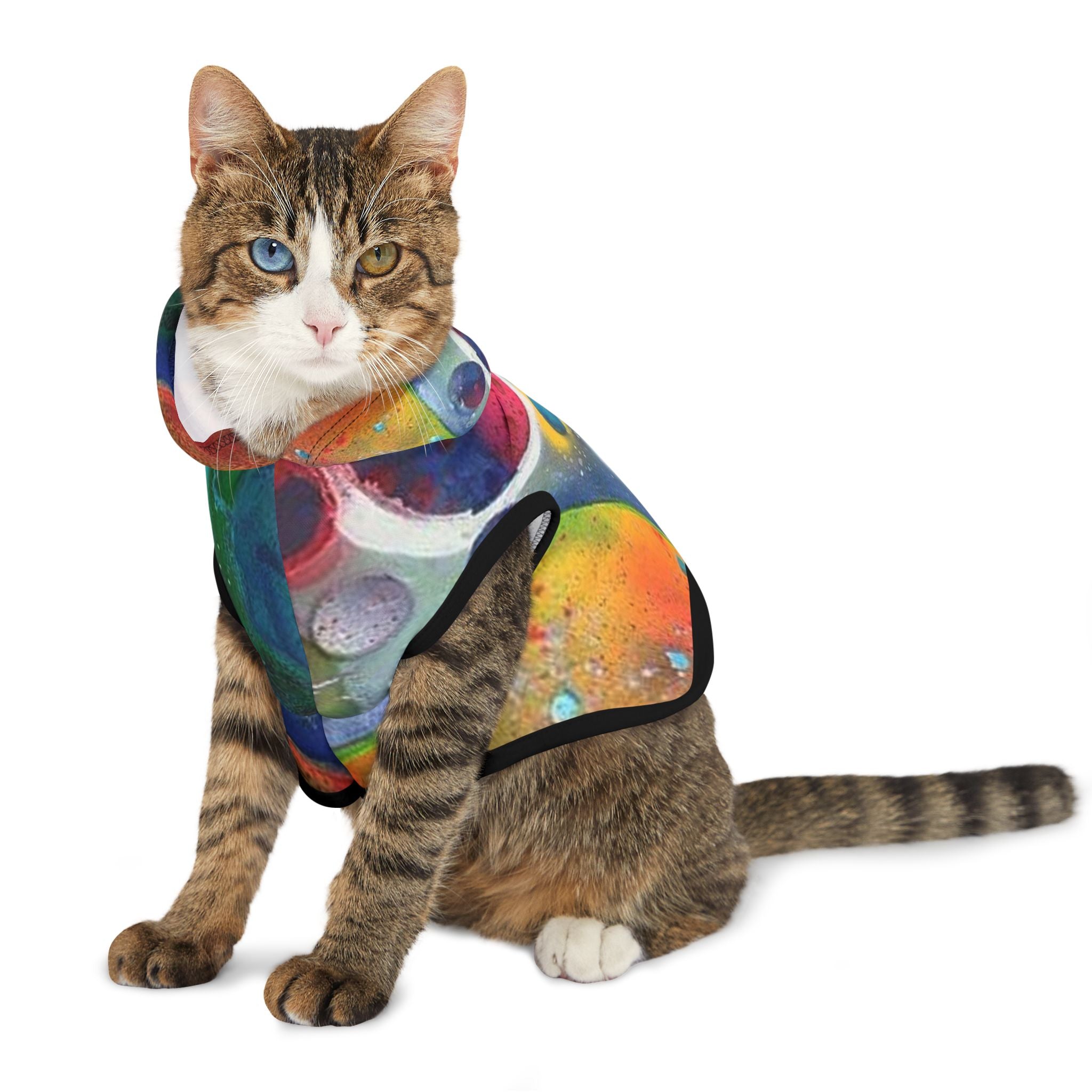 Galaxy Planets Pet Hoodie