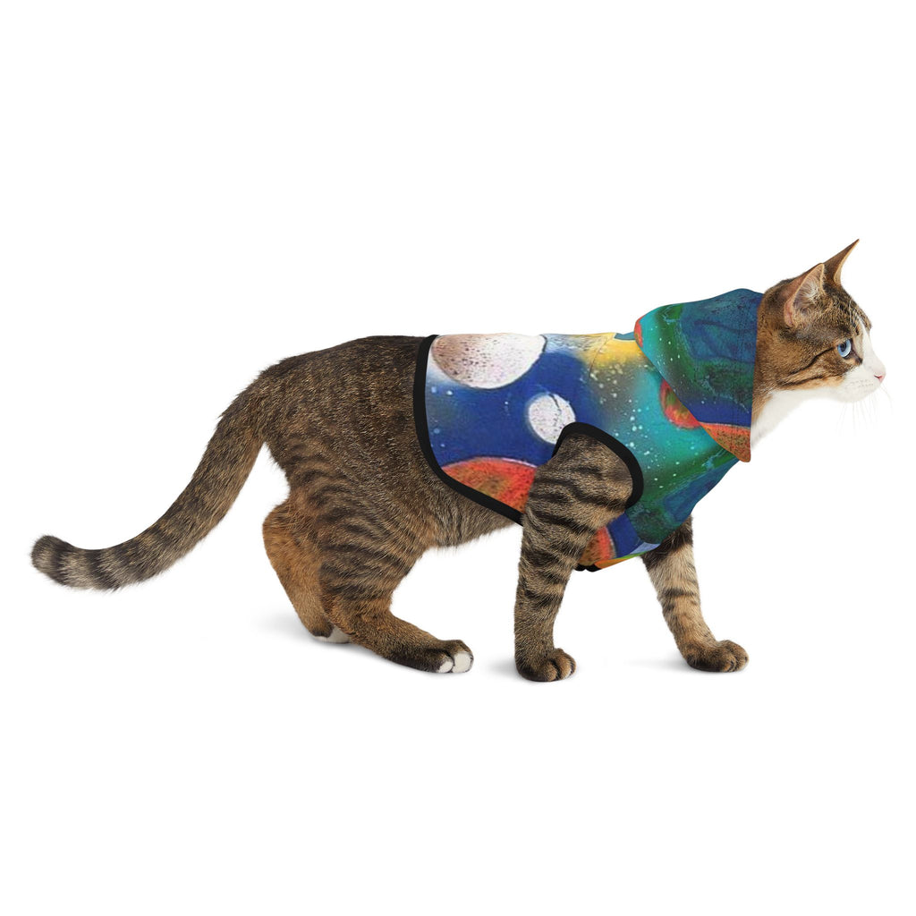 Galaxy Planets Pet Hoodie