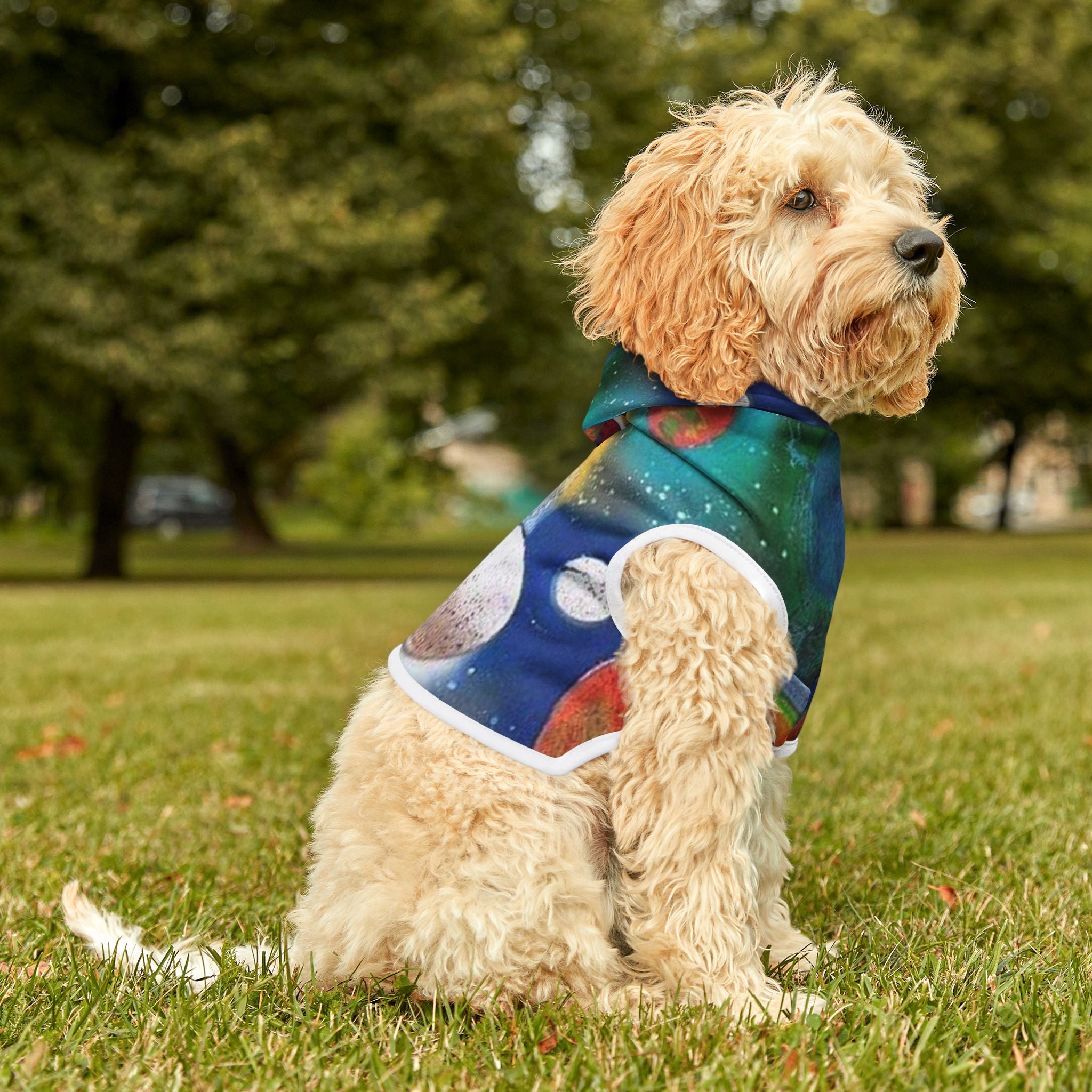 Galaxy Planets Pet Hoodie